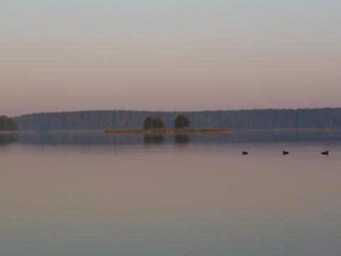 Kliknij na zdjęcie, żeby zobaczyć w pełnych wymiarach