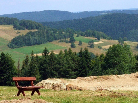 Kliknij na zdjęcie, żeby zobaczyć w pełnych wymiarach