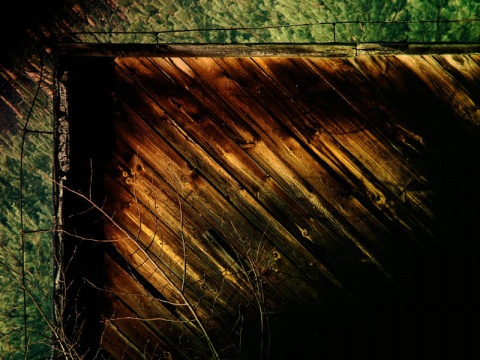 Kliknij na zdjęcie, żeby zobaczyć w pełnych wymiarach