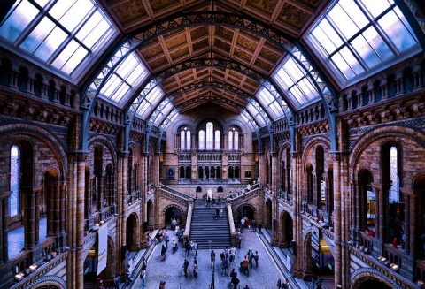 Kliknij na zdjęcie, żeby zobaczyć w pełnych wymiarach