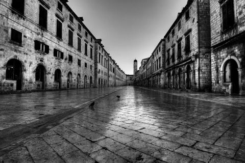 Kliknij na zdjęcie, żeby zobaczyć w pełnych wymiarach