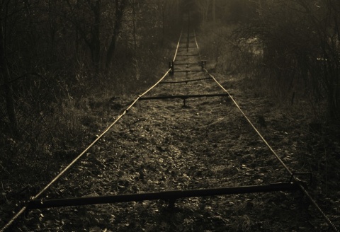 Kliknij na zdjęcie, żeby zobaczyć w pełnych wymiarach