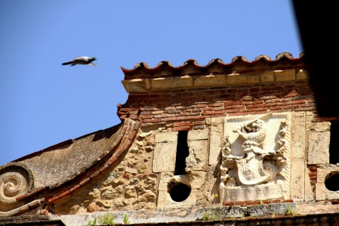 Kliknij na zdjęcie, żeby zobaczyć w pełnych wymiarach