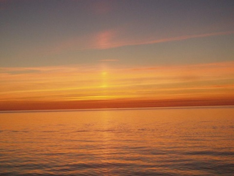 Kliknij na zdjęcie, żeby zobaczyć w pełnych wymiarach