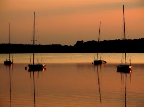 Kliknij na zdjęcie, żeby zobaczyć w pełnych wymiarach