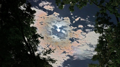 Kliknij na zdjęcie, żeby zobaczyć w pełnych wymiarach