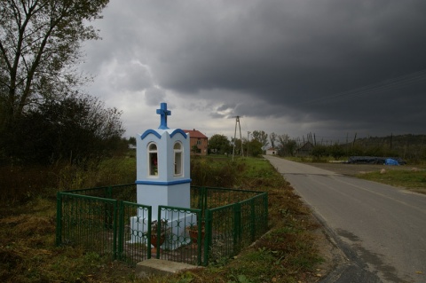 Kliknij na zdjęcie, żeby zobaczyć w pełnych wymiarach