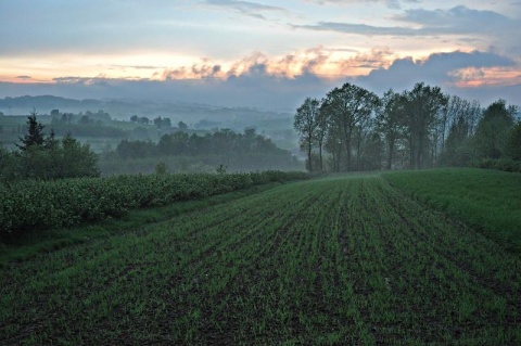 Kliknij na zdjęcie, żeby zobaczyć w pełnych wymiarach
