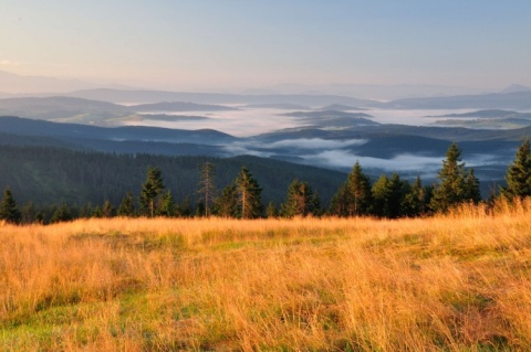 Kliknij na zdjęcie, żeby zobaczyć w pełnych wymiarach
