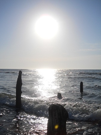 Kliknij na zdjęcie, żeby zobaczyć w pełnych wymiarach