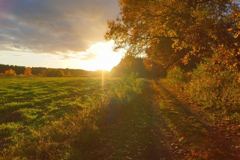 Kliknij na zdjęcie, żeby zobaczyć w pełnych wymiarach