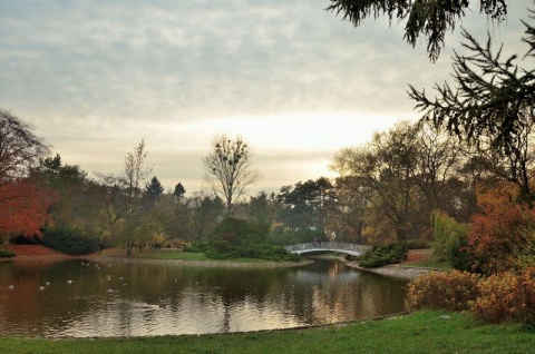 Kliknij na zdjęcie, żeby zobaczyć w pełnych wymiarach