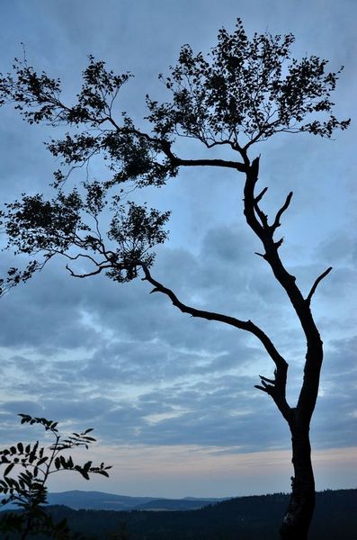Kliknij na zdjęcie, żeby zobaczyć w pełnych wymiarach