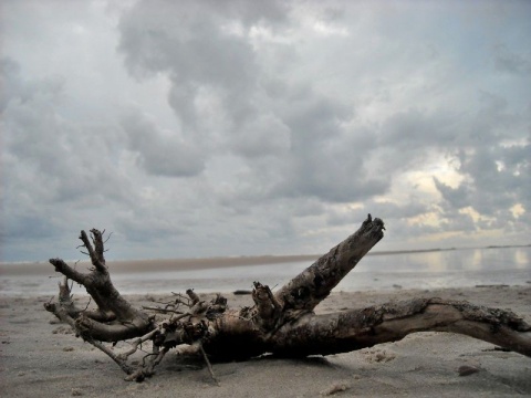Kliknij na zdjęcie, żeby zobaczyć w pełnych wymiarach