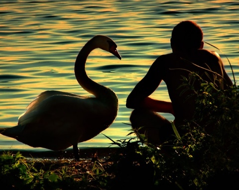 Kliknij na zdjęcie, żeby zobaczyć w pełnych wymiarach