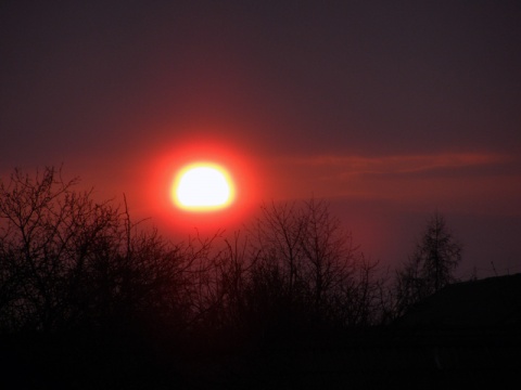 Kliknij na zdjęcie, żeby zobaczyć w pełnych wymiarach