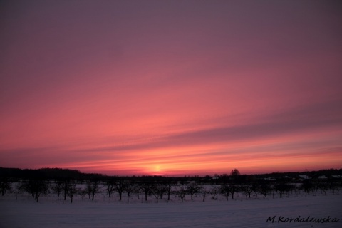 Kliknij na zdjęcie, żeby zobaczyć w pełnych wymiarach