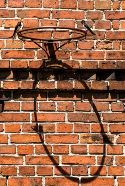 Kliknij na zdjęcie, żeby zobaczyć w pełnych wymiarach