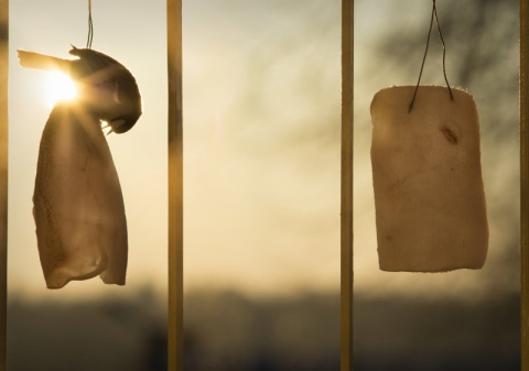 Kliknij na zdjęcie, żeby zobaczyć w pełnych wymiarach