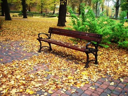 Kliknij na zdjęcie, żeby zobaczyć w pełnych wymiarach