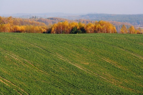 Kliknij na zdjęcie, żeby zobaczyć w pełnych wymiarach