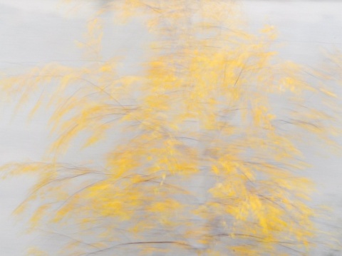 Kliknij na zdjęcie, żeby zobaczyć w pełnych wymiarach