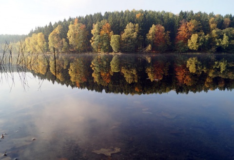 Kliknij na zdjęcie, żeby zobaczyć w pełnych wymiarach