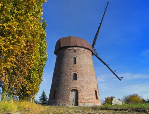 Kliknij na zdjęcie, żeby zobaczyć w pełnych wymiarach
