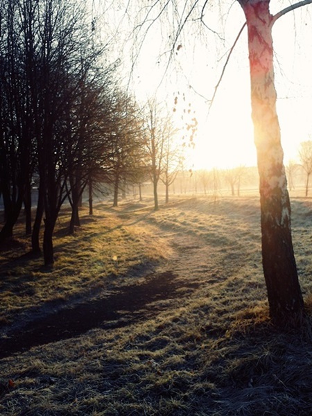 Kliknij na zdjęcie, żeby zobaczyć w pełnych wymiarach