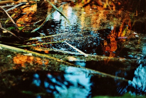 Kliknij na zdjęcie, żeby zobaczyć w pełnych wymiarach
