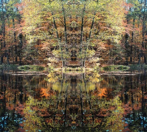 Kliknij na zdjęcie, żeby zobaczyć w pełnych wymiarach