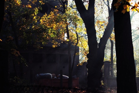 Kliknij na zdjęcie, żeby zobaczyć w pełnych wymiarach