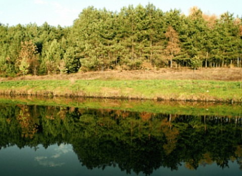 Kliknij na zdjęcie, żeby zobaczyć w pełnych wymiarach