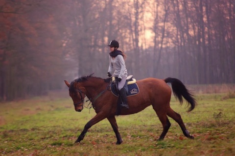 Kliknij na zdjęcie, żeby zobaczyć w pełnych wymiarach