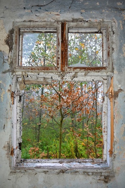 Kliknij na zdjęcie, żeby zobaczyć w pełnych wymiarach