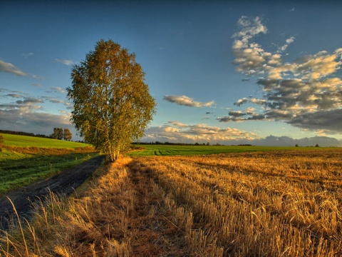 Kliknij na zdjęcie, żeby zobaczyć w pełnych wymiarach