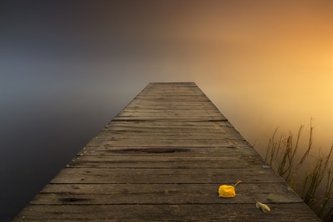 Kliknij na zdjęcie, żeby zobaczyć w pełnych wymiarach