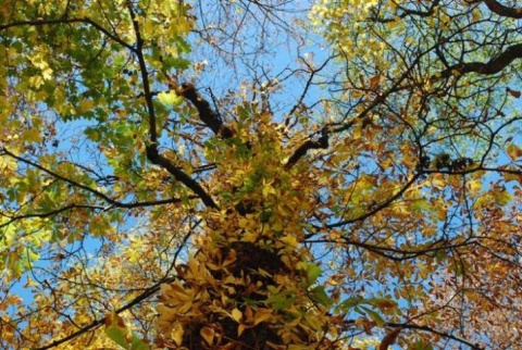 Kliknij na zdjęcie, żeby zobaczyć w pełnych wymiarach