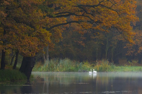 Kliknij na zdjęcie, żeby zobaczyć w pełnych wymiarach