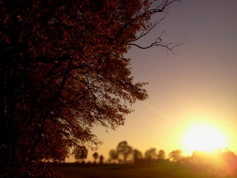 Kliknij na zdjęcie, żeby zobaczyć w pełnych wymiarach