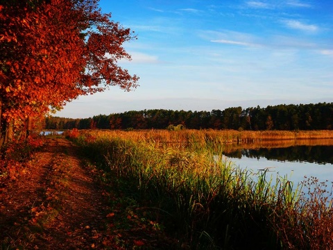 Kliknij na zdjęcie, żeby zobaczyć w pełnych wymiarach