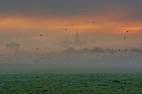 Kliknij na zdjęcie, żeby zobaczyć w pełnych wymiarach