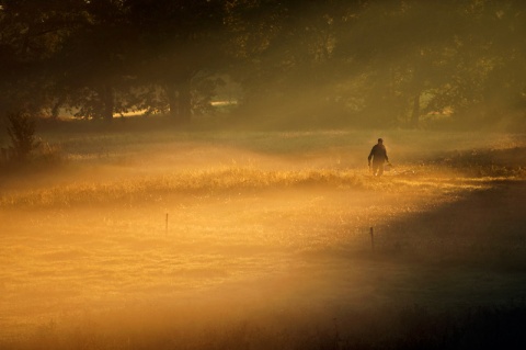 Kliknij na zdjęcie, żeby zobaczyć w pełnych wymiarach
