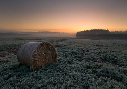 Kliknij na zdjęcie, żeby zobaczyć w pełnych wymiarach