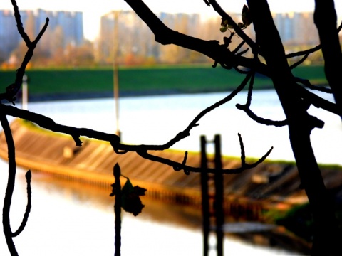 Kliknij na zdjęcie, żeby zobaczyć w pełnych wymiarach