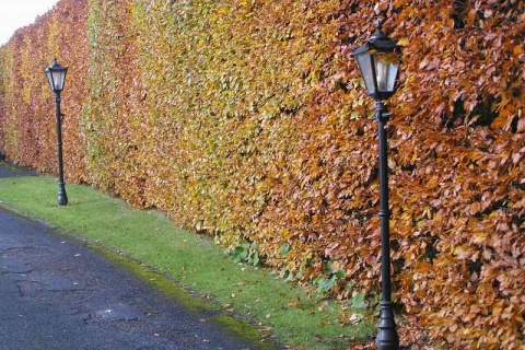 Kliknij na zdjęcie, żeby zobaczyć w pełnych wymiarach