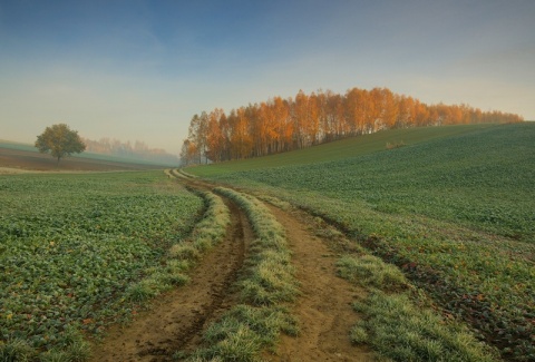 Kliknij na zdjęcie, żeby zobaczyć w pełnych wymiarach