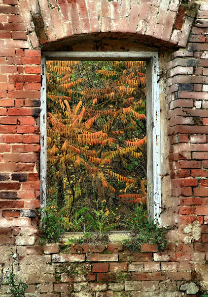 Kliknij na zdjęcie, żeby zobaczyć w pełnych wymiarach