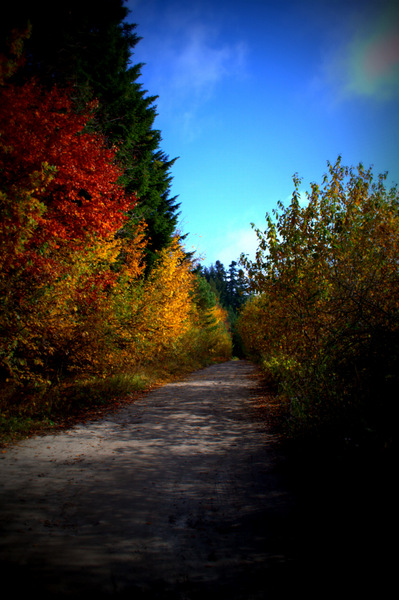 Kliknij na zdjęcie, żeby zobaczyć w pełnych wymiarach