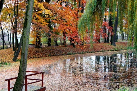 Kliknij na zdjęcie, żeby zobaczyć w pełnych wymiarach